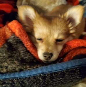 Meet your Posher, Cindy